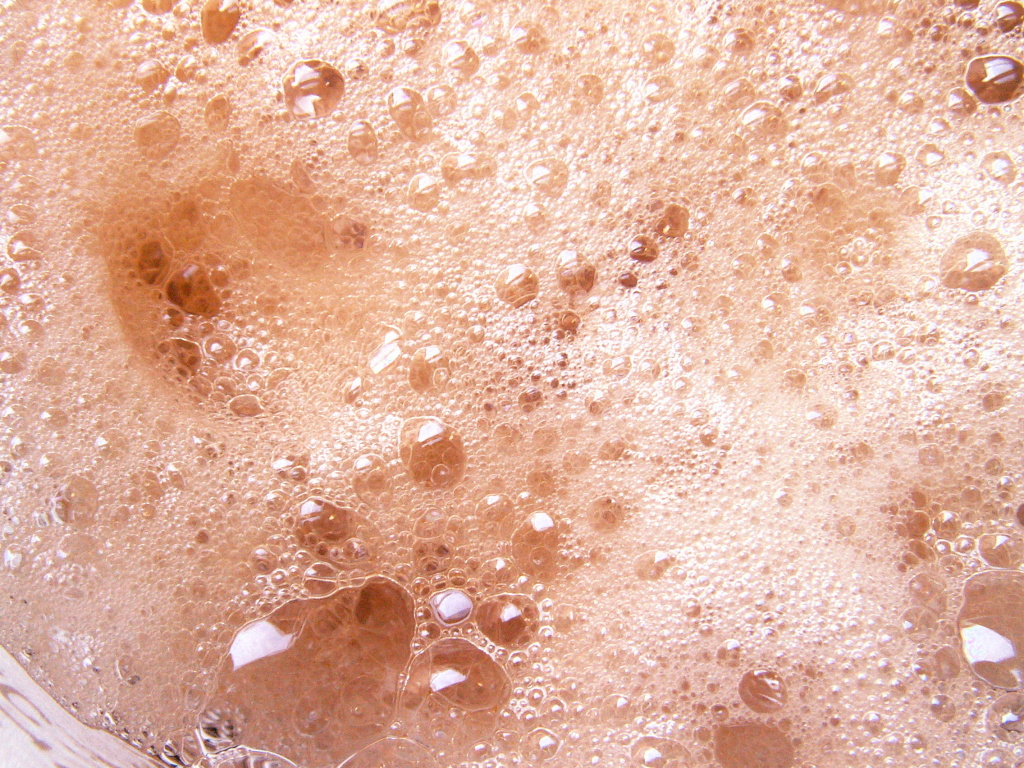 Fermentation