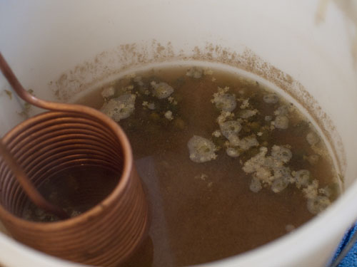 Cooling the Wort