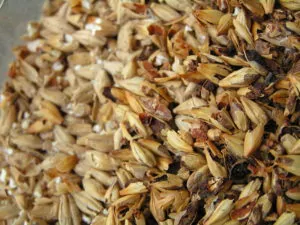 Crystal Malt 80L