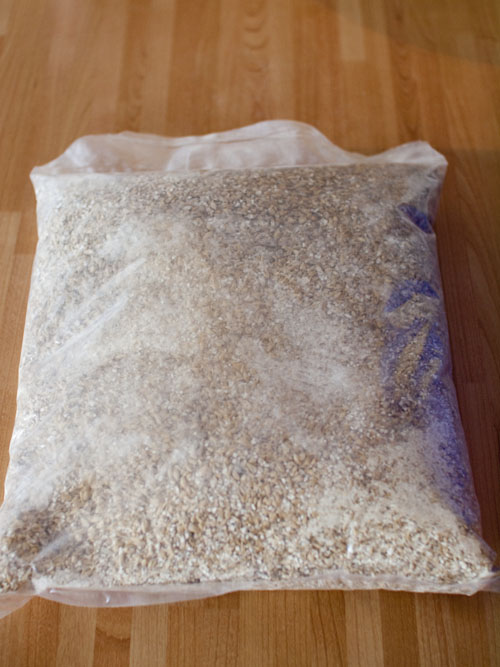 Storing Malt