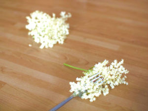 Elderflower wine