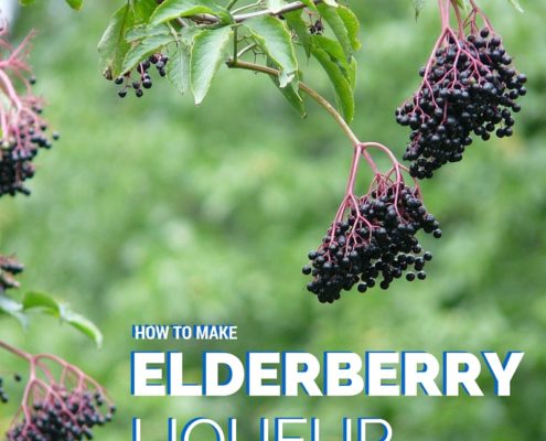 Elderberry Liqueur