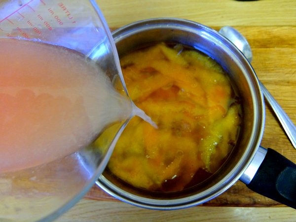 Grapefruit Soda Recipe