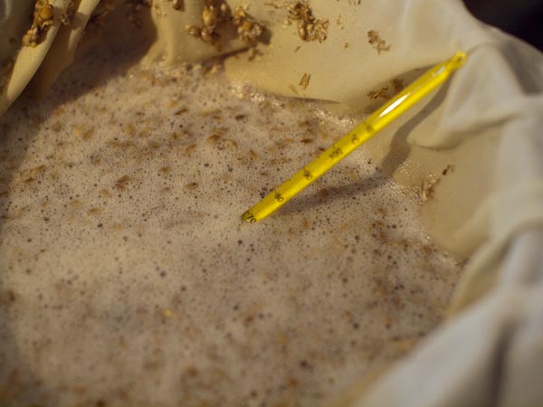 Brew In A Bag Mash