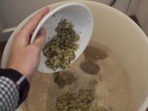 Boiling Hops