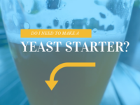 Making A Yeast Starter