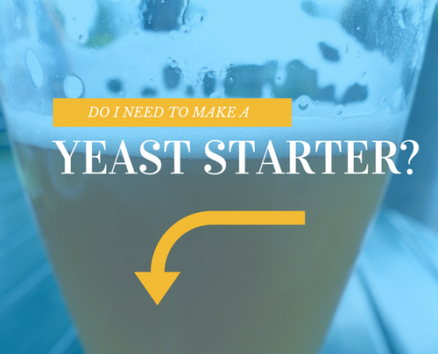 Making A Yeast Starter