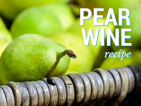 Pear Wine Recipe