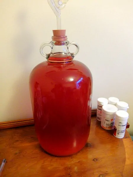 strawberry wine homebrew