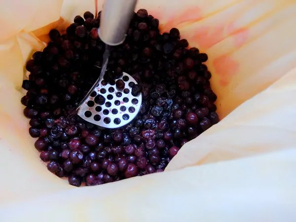 Featured image of post Steps to Prepare Blueberry Wine Recipe Reddit