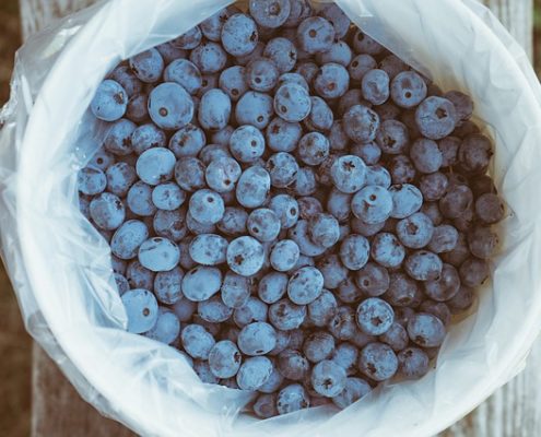 Blueberry Wine Recipe