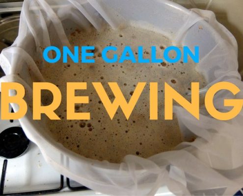 one gallon beer making kits