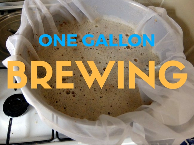 The Rise Of One Gallon Beer Making