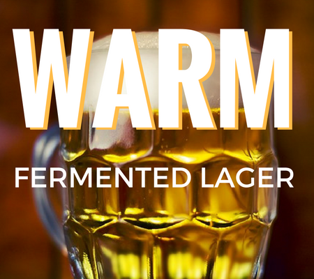 Warm Fermented Lager