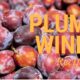 Plum Wine Recipe