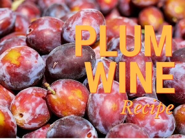 Plum Wine Recipe