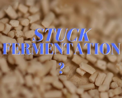 STUCK Fermentation