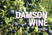 Damson Wine recipe