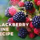 Blackberry wine recipe