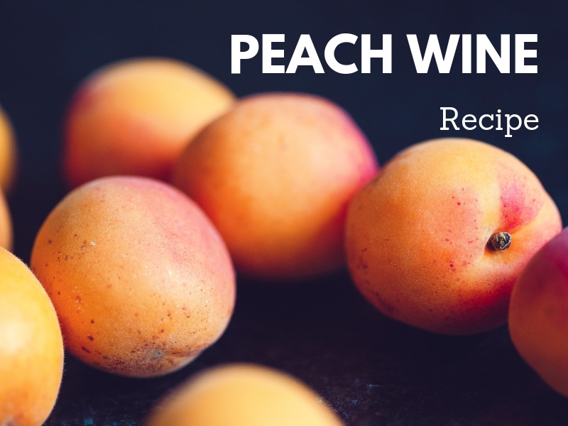 Peach Wine Recipe