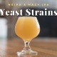 NEIPA Yeast Strains