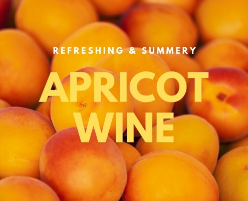 Apricot Wine Recipe