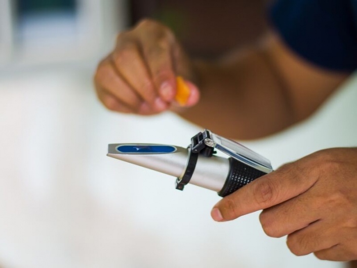 Using A Refractometer