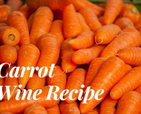 Carrot Wine Recipe