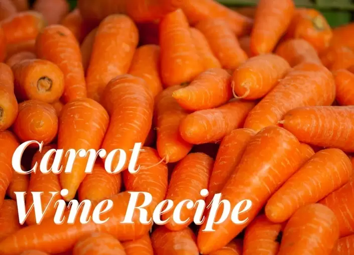 Carrot Wine Recipe