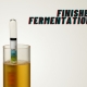 Has My Beer Finished Fermentation
