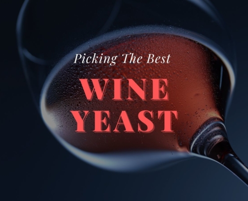Wine Yeasts