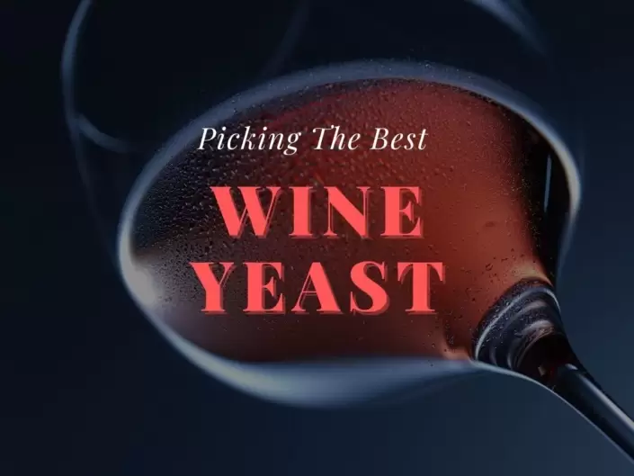 Wine Yeasts