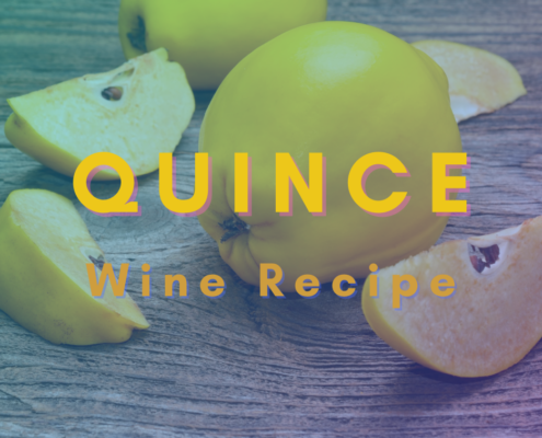 Quince Wine Recipe
