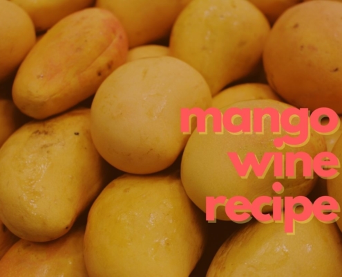 mango wine recipe