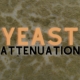 Yeast Attenuation
