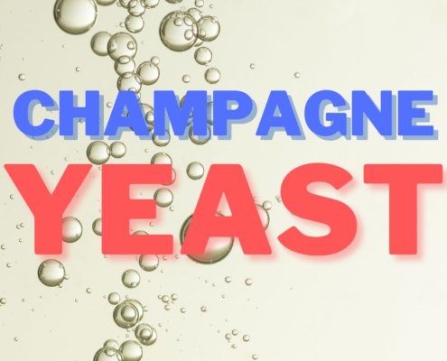Champagne Yeast
