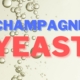 Champagne Yeast