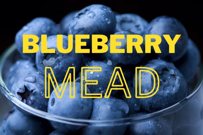 blueberry mead melomel