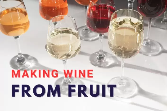 homemade wine from fruit